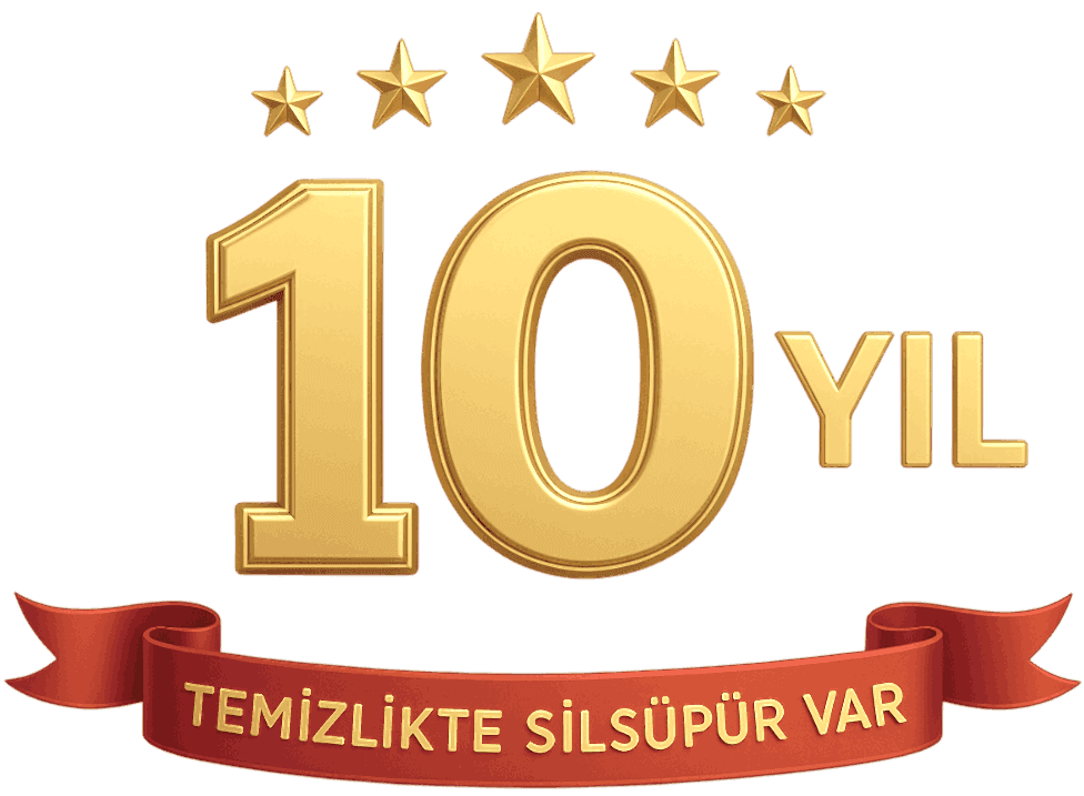 10 Yıl Logo