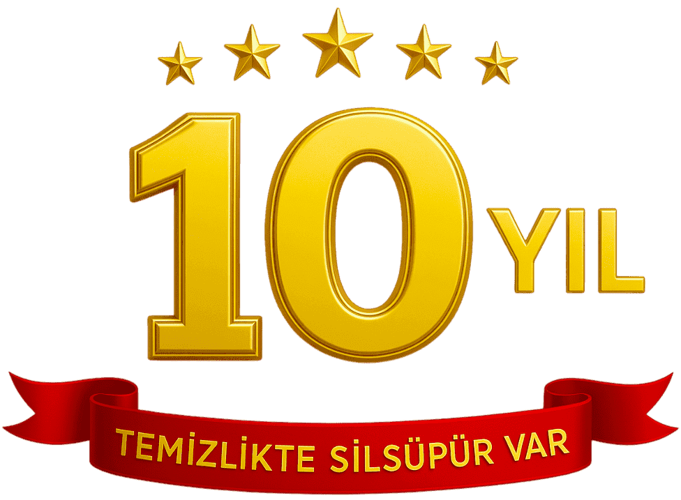 10 Yıl Logo