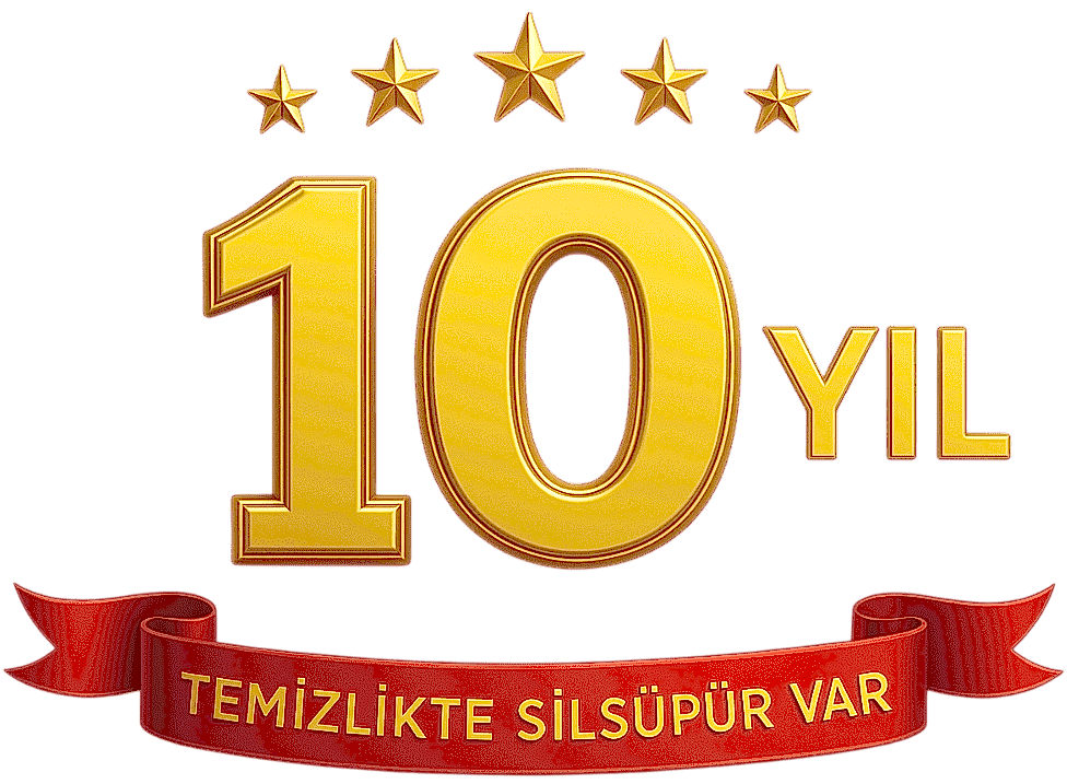 10 Yıl Logo