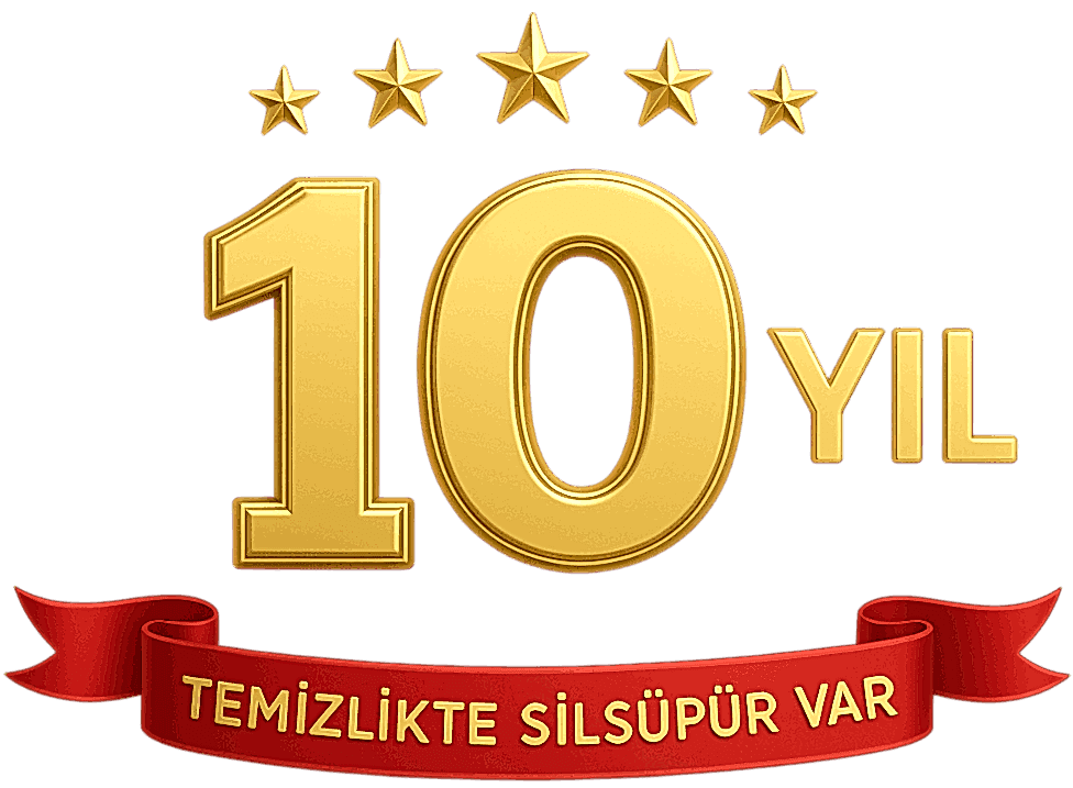 10 Yıl Logo