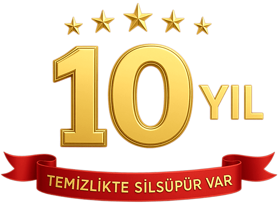 10 Yıl Logo