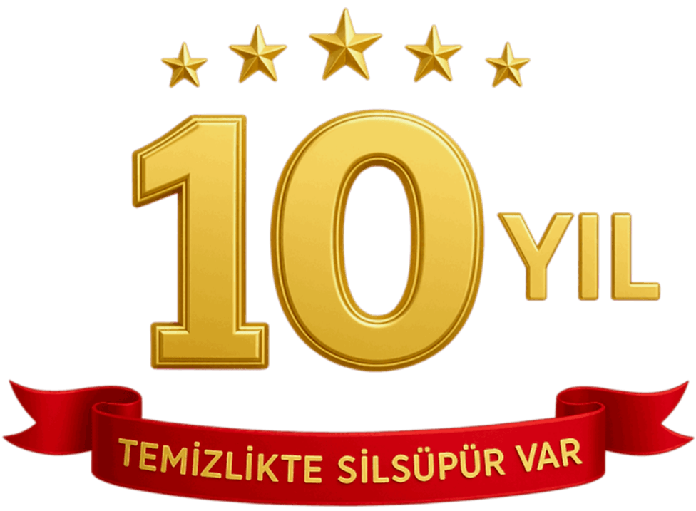 10 Yıl Logo