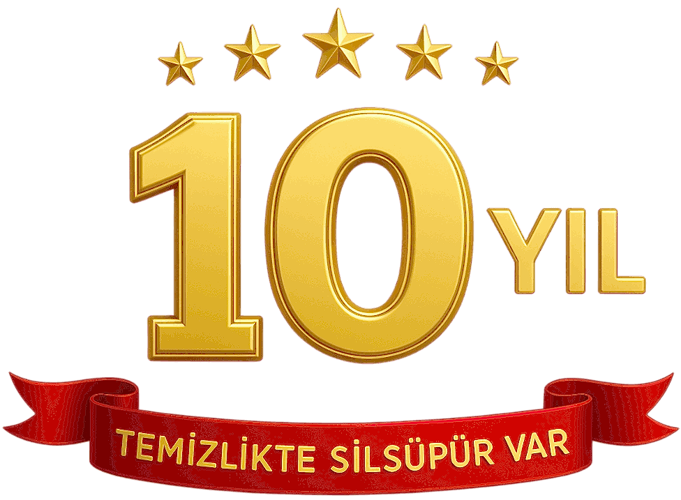 10 Yıl Logo